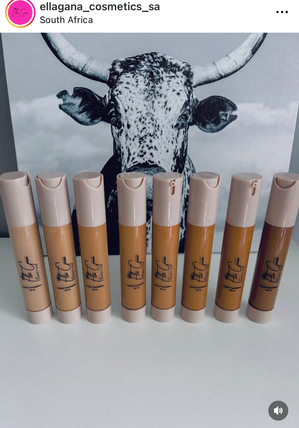 Foundation